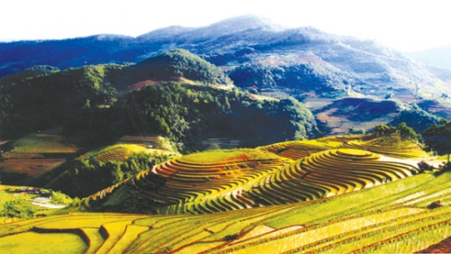 MU CANG CHAI